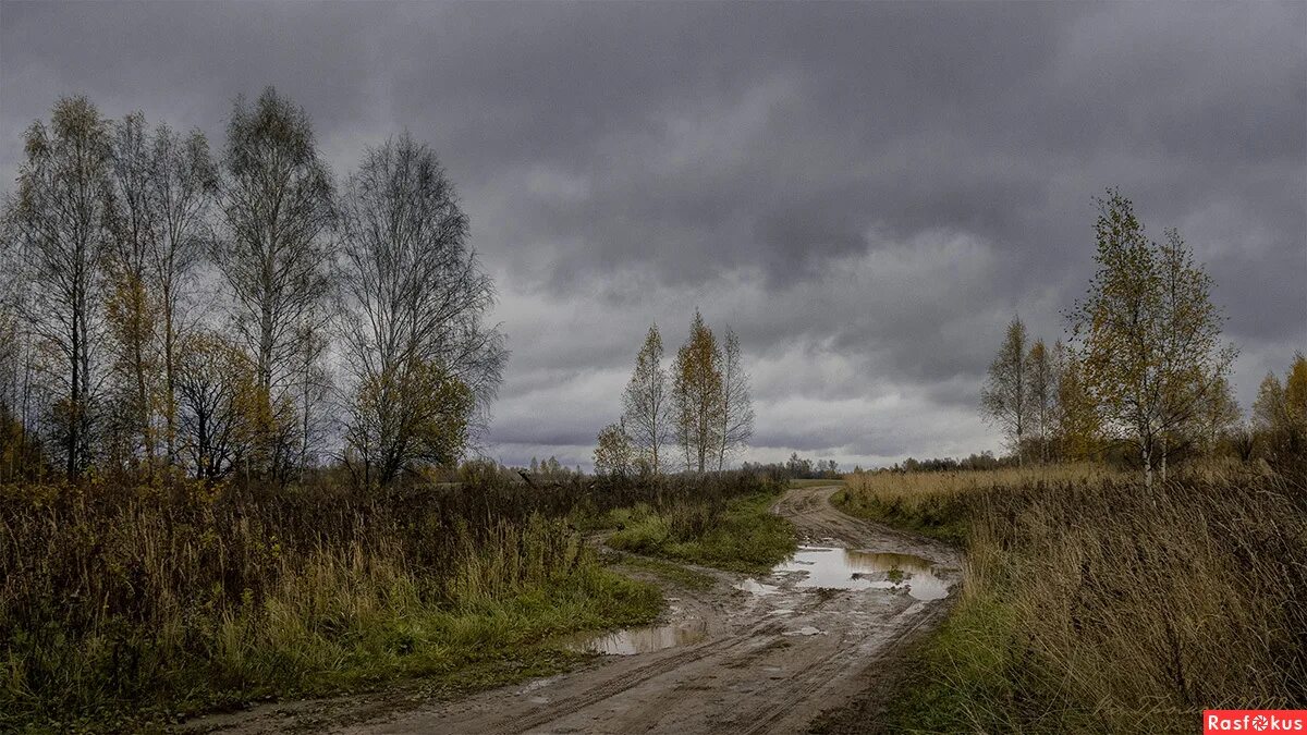 Пасмурная осень. Пасмурный октябрь в деревне. Хмурый день в деревне. Хмурая осень в деревне. Пасмурная 21