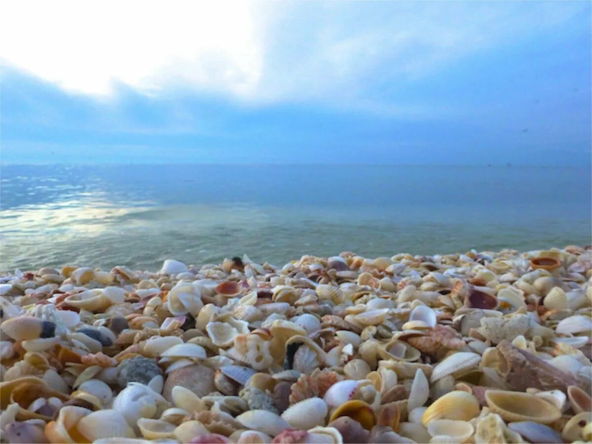Галечный пляж на черном море. Песчано галечный пляж в турции. Краснодарский край пляжи с мелкой галькой. Море лазаревское волконка. Черное море галечный берег.