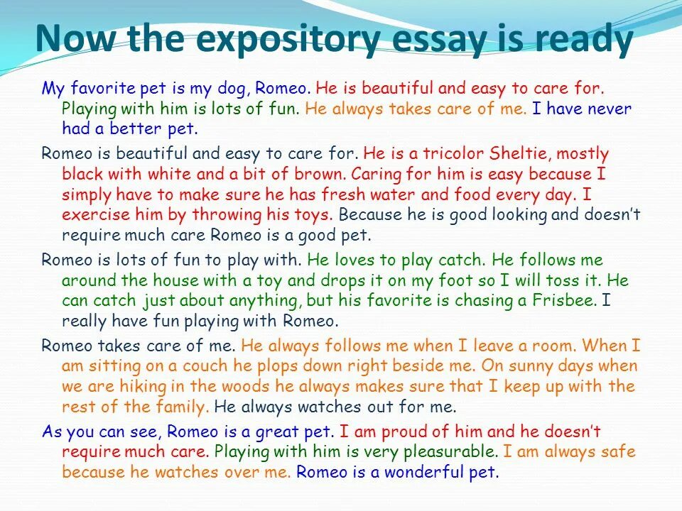 Essay about animals. Сочинение my favourite animals. Топик на тему my favourite animal. Проект my favourite animal. Сочинение my favourite animal 4 класс.