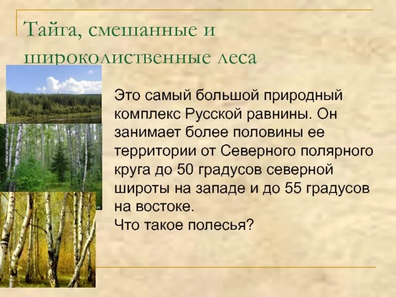 Тайга смешанные и широколиственные леса. Зона лесов смешанные широколиственные тайга. особенности тайги смешанных и широколиственных лесов. характеристика смешанного леса. характеристика смешанных и широколиственных лесов.