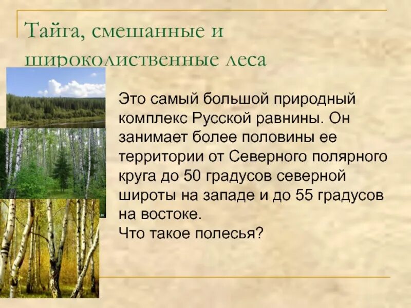 Природная зона тайги и смешанных лесов. Зона лесов смешанные широколиственные Тайга. Особенности тайги смешанных и широколиственных лесов. Характеристика смешанного леса. Характеристика смешанных и широколиственных лесов.