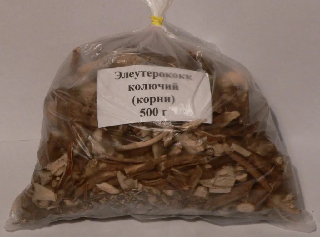корень элеутерококка. элеутерококка корневища и корни сырье. корень элеутерококка. корень элеутерококка. элеутерококк колючий лрс.