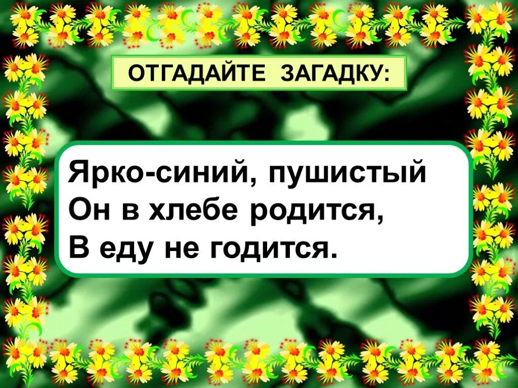 Угадай загадку ответ. Загадки без ответов. Загадки без отгадок. Сложные загадки. Фото сложных загадок фото.