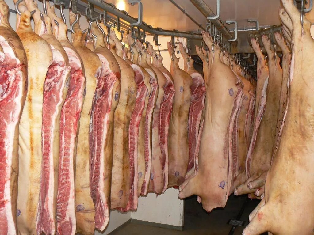 Где купить свинину