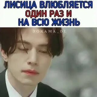 Влюбиться в лиса 2024