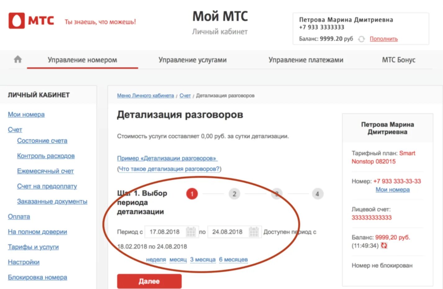 Запросить детализацию звонков мтс. МТС личный кабинет. Детализация МТС личный. Распечатка МТС личный кабинет. Личный кабинет МТС детализация разговоров.