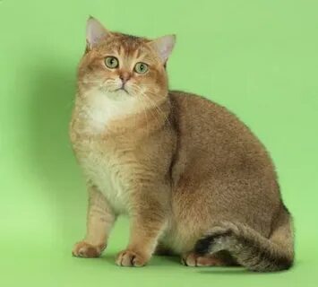 Есектегі секс