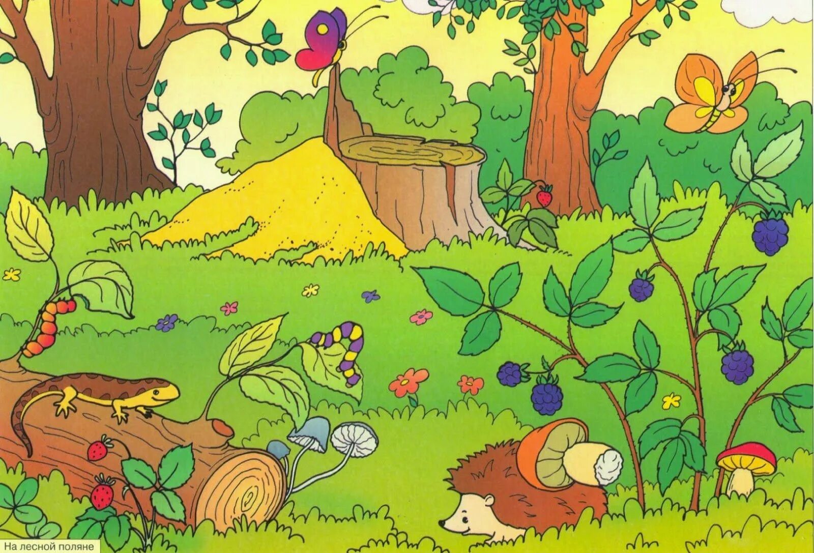 Где спрятались игрушки. Лес для дошкольников. Лес картинка для детей. Сказочный лес с грибами. Поляна в лесу для детей.