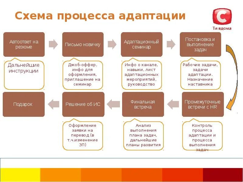 Адаптация по какой программе. Процесс адаптации персонала схема. бизнес процесс адаптация сотрудников. бизнес процесс адаптации нового сотрудника. бизнес процесс адаптация персонала схема.