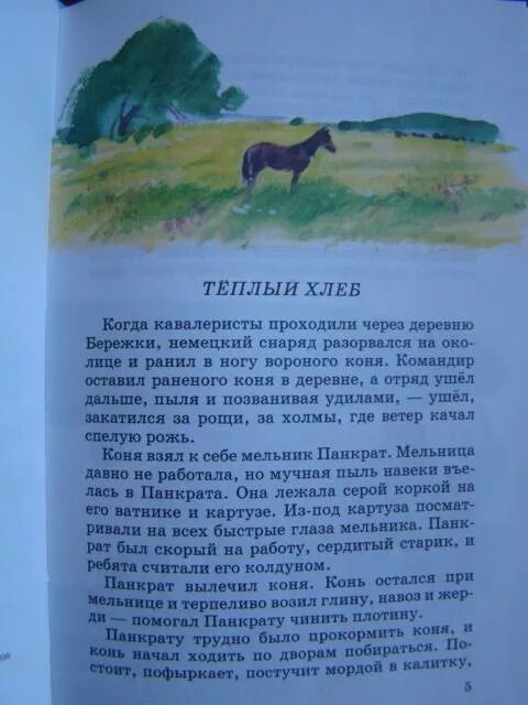 Паустовский о животных 3 класс. Любой рассказ Паустовского. Маленькие произведения Паустовского. Произведение Паустовского короткие. Маленький рассказ Константина Паустовского.