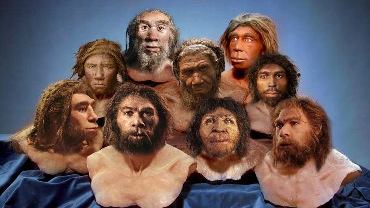 Первый род человечества. Человек разумный homo sapiens. НОМО sapiens. Хомо сапиенс сапиенс. Человек хомо сапиенс человек разумный.