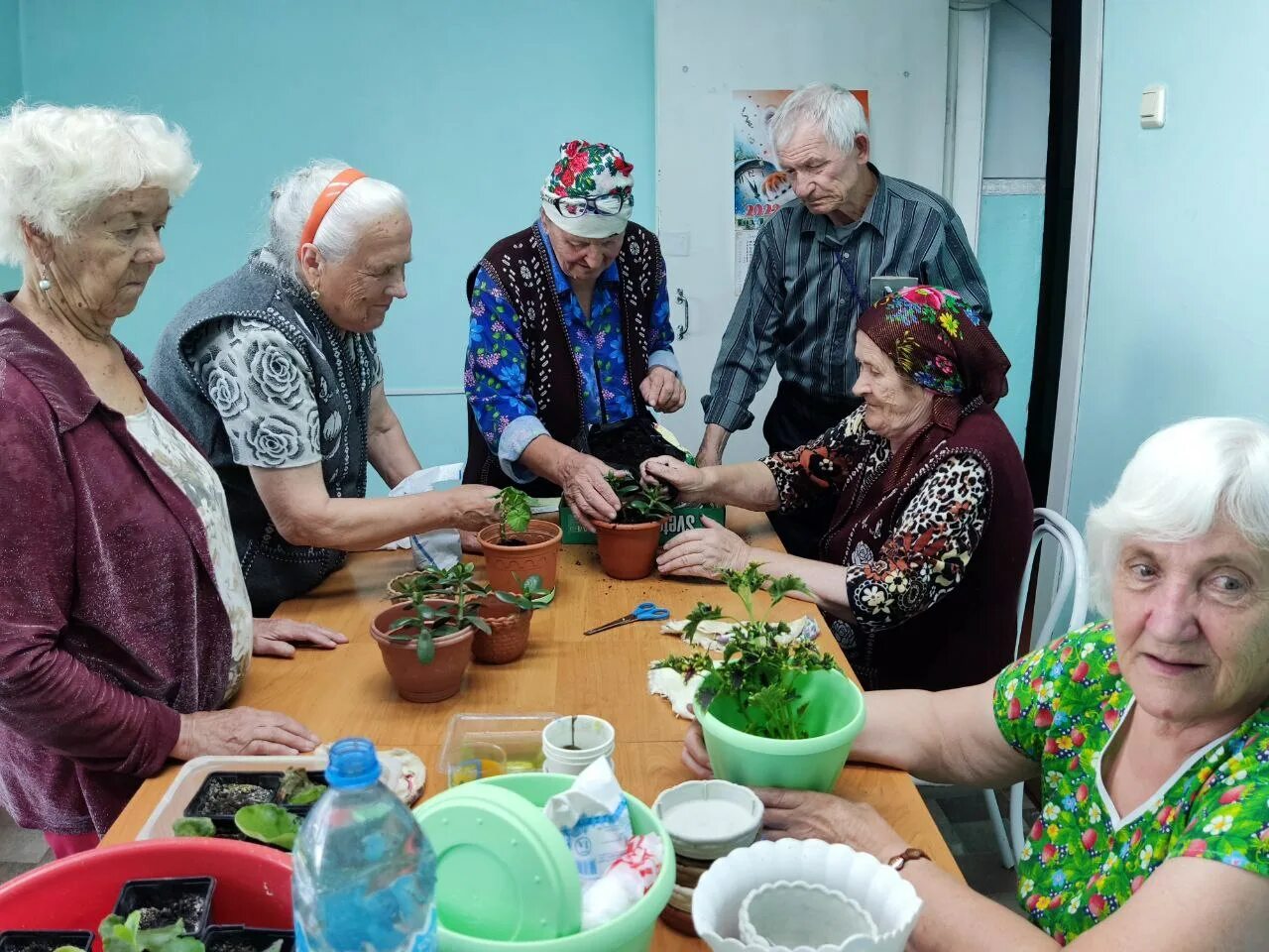 Трудотерапия программы. Пожилые люди. трудотерапия. трудотерапия для пожилых. гарденотерапия для пожилых людей.