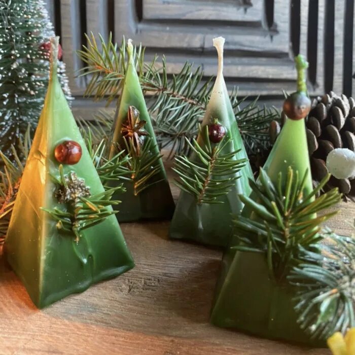 хвойная свечка