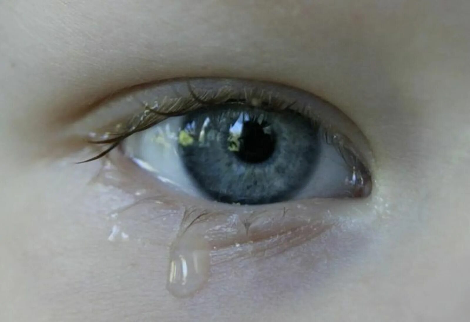 Слезаю 5. Заплаканные глаза серо голубые. Слезы ребенка. Плачущий глаз. Детский заплаканный глаз.