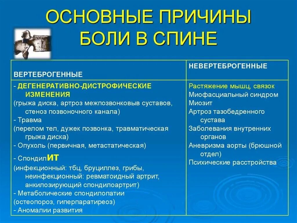 Боли в пояснице анамнез. Боли в спине причины. Причины возникновения болей в спине. Основные причины боли в спине. Факторы, вызывающие боли в спине.