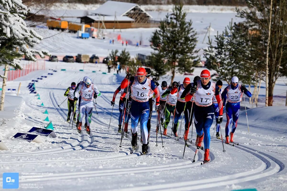 Малиновка Архангельская область лыжные гонки. Чемпионат России по лыжным гонкам 2024. Лыжные гонки вид спорта. Лыжные гонки спринт.