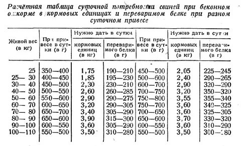 Таблица годов свиньи