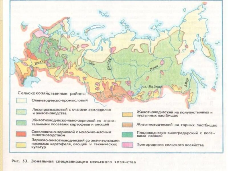 Зональная специализация сельского хозяйства России карта. Специализация сельского хозяйства России карта. Зональная специализация сельского хозяйства карта 9 класс. Карта сельскохозяйственной специализации России.