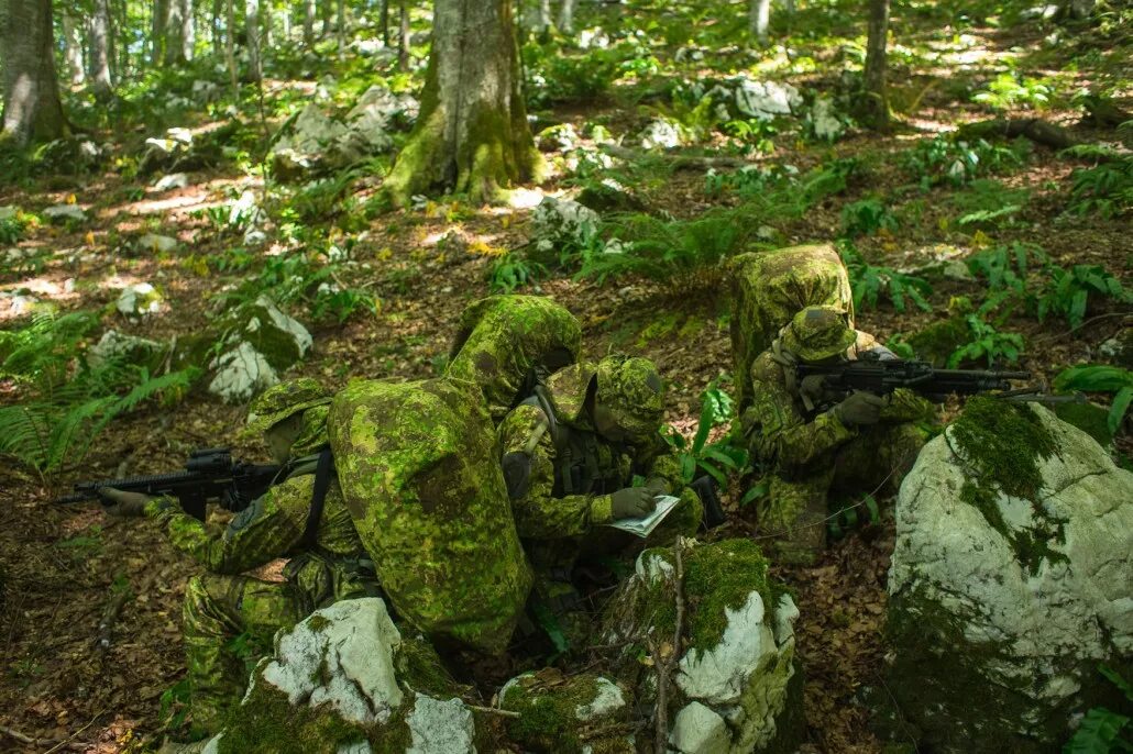 Делавшие замаскированный. PENCOTT GREENZONE ткань. Пенкотт камуфляж гринзона. Камуфляж Пенкотт Грин. ИК ремиссия камуфляж.