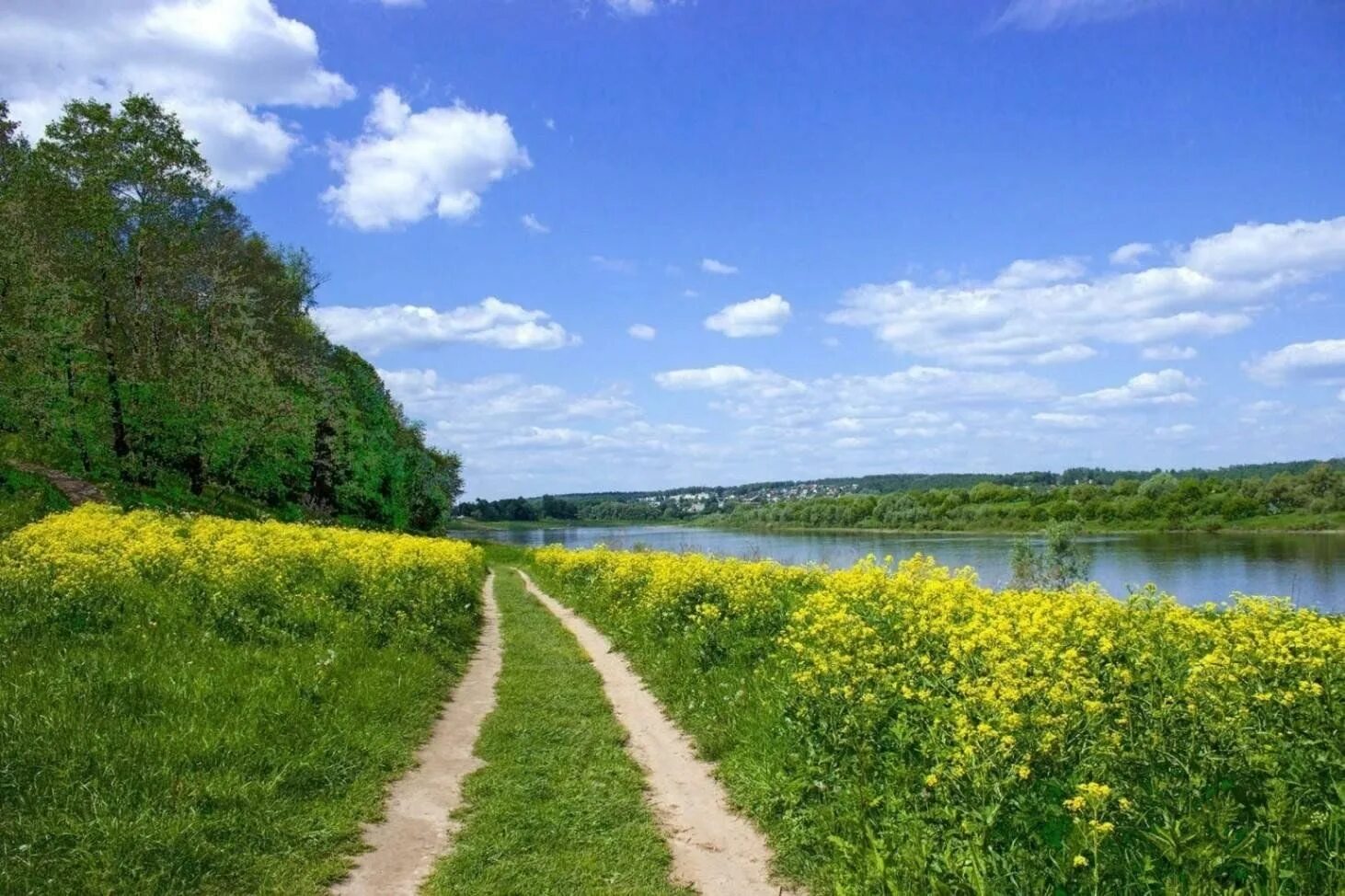 Лес проселочная дорога россия. Тропинками родного края викторина. Тропинка на берегу реки. Дорога лето лес деревня. Родные края.