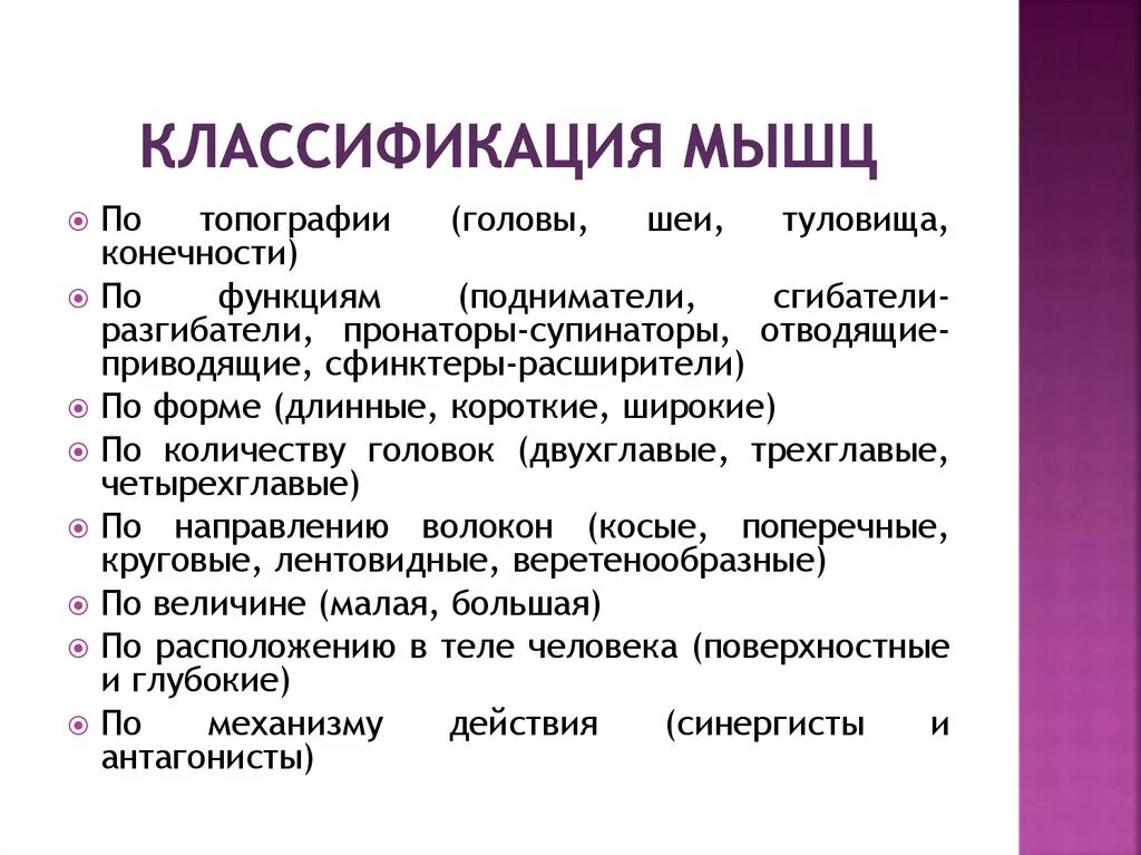 Картинки КАКИЕ РАЗЛИЧАЮТ МЫШЦЫ