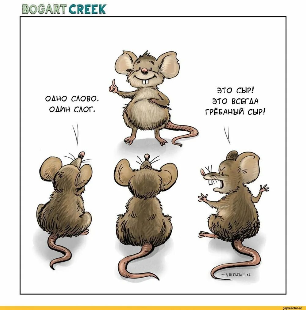 Мышь юмор. Комикс про мышку. Смешные фразы мышки. Смешная мышь. Английское слово мыши