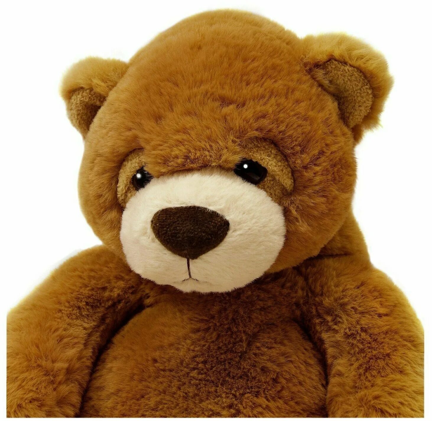 Aurora лама мягкая игрушка. Aurora игрушки овечка. мягкая игрушка aurora собака(акита). мягкая игрушка ленивец aurora. Aurora игрушки.