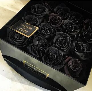 Maison des fleurs цветы