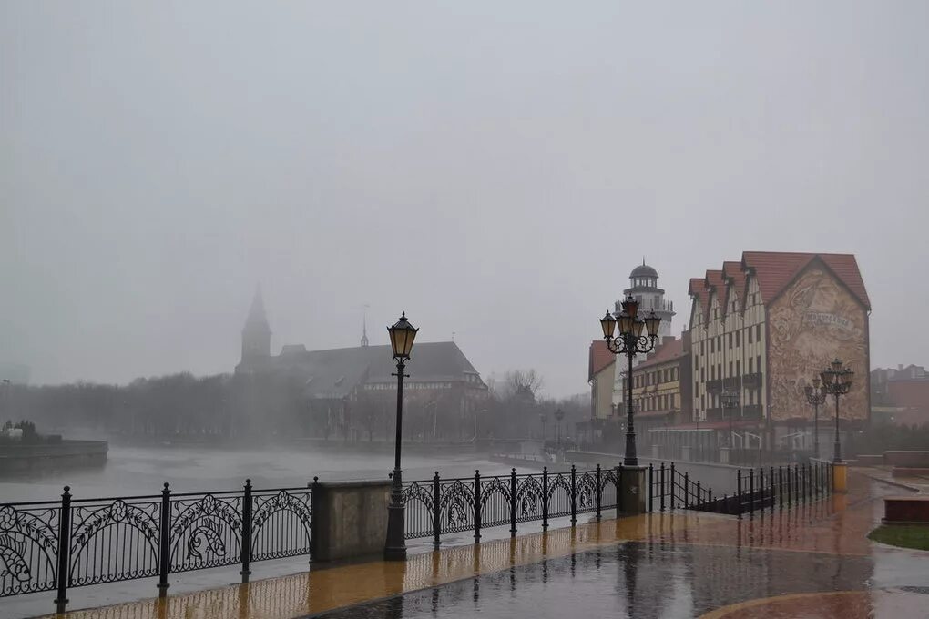 Дождь в калининграде фото. Калининград дождь. В калининграде есть снег. В калининграде идет дождь. Дождливый день в калининграде.