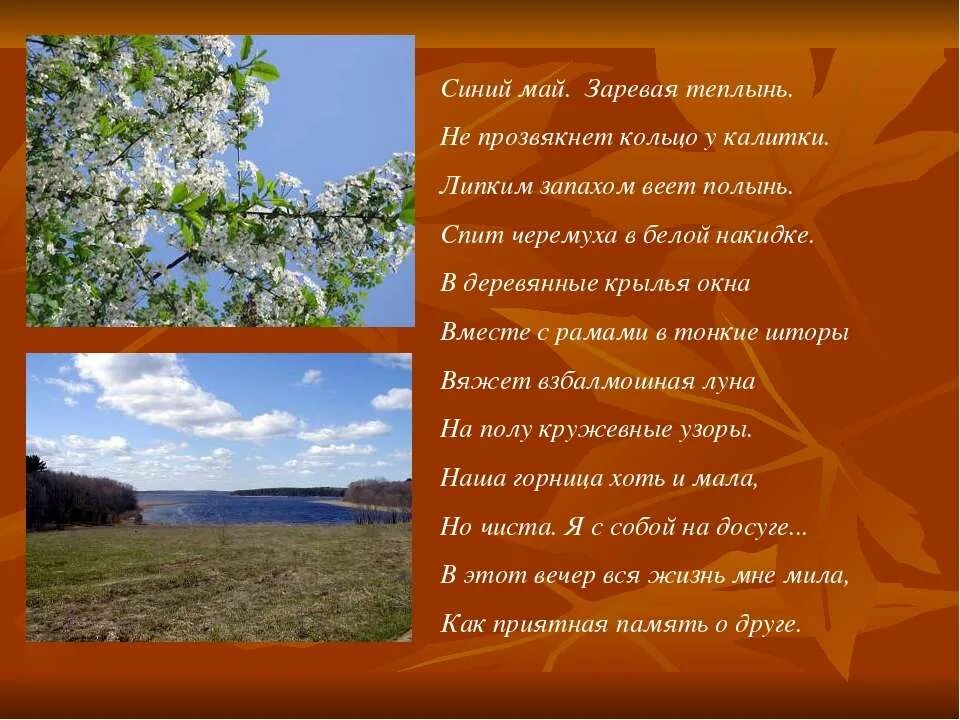 Стих синий май. Скинуло кафтан зеленый лето отсвистали жаворонки всласть. Отсвистали жаворонки всласть. Заревая теплынь есенин. Легким запахом веет полынь где тире.