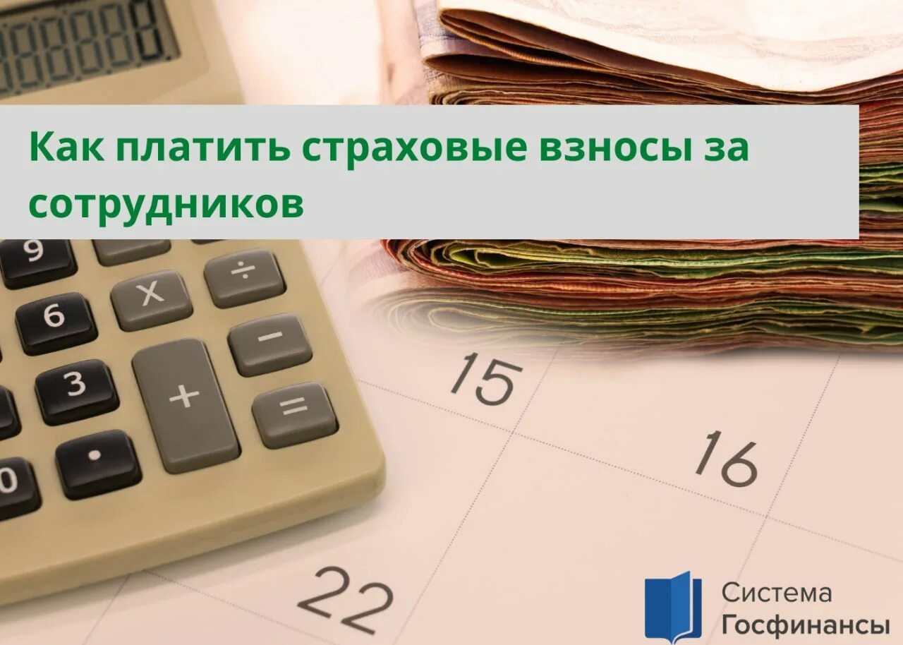 Срок уплаты страховых взносов за январь 2025