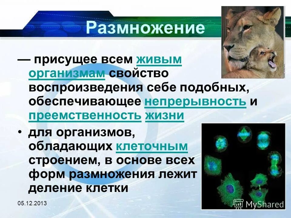 Организм свойства организмов презентация. Характеристика живых организмов. Процессы присущие живым организмам. Живые свойства живых организмов.