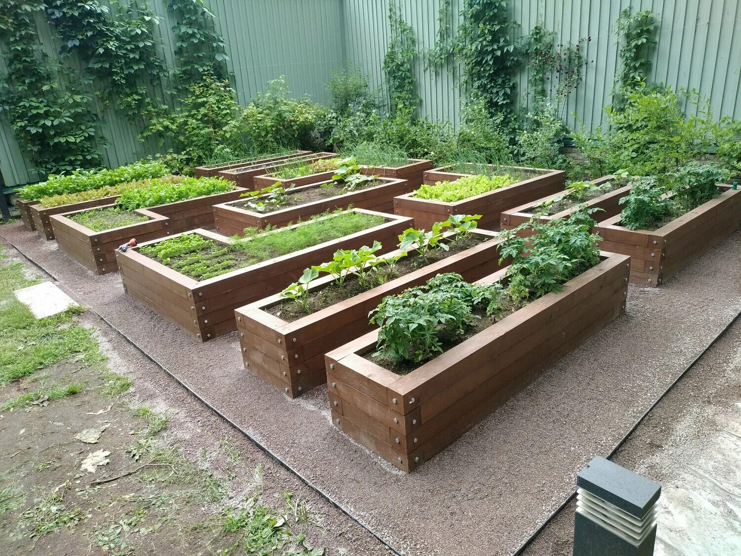 деревянные грядки на даче. деревянные грядки. высокие деревянные грядки. деревянные грядки. деревянные клумбы.