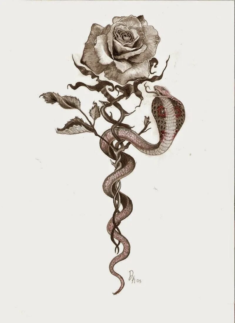 Змея обвивающая цветок. Змея обвивающая розу. Эскиз тату змеи с цветами. Тату змея с цветами. Змея и цветок 2