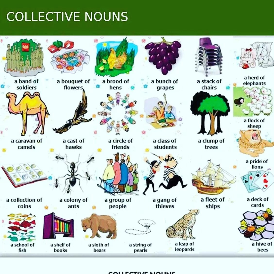 Collective Nouns in English. Collective Nouns for people. Collective Nouns exercises.