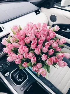 Тюльпаны в машине фото