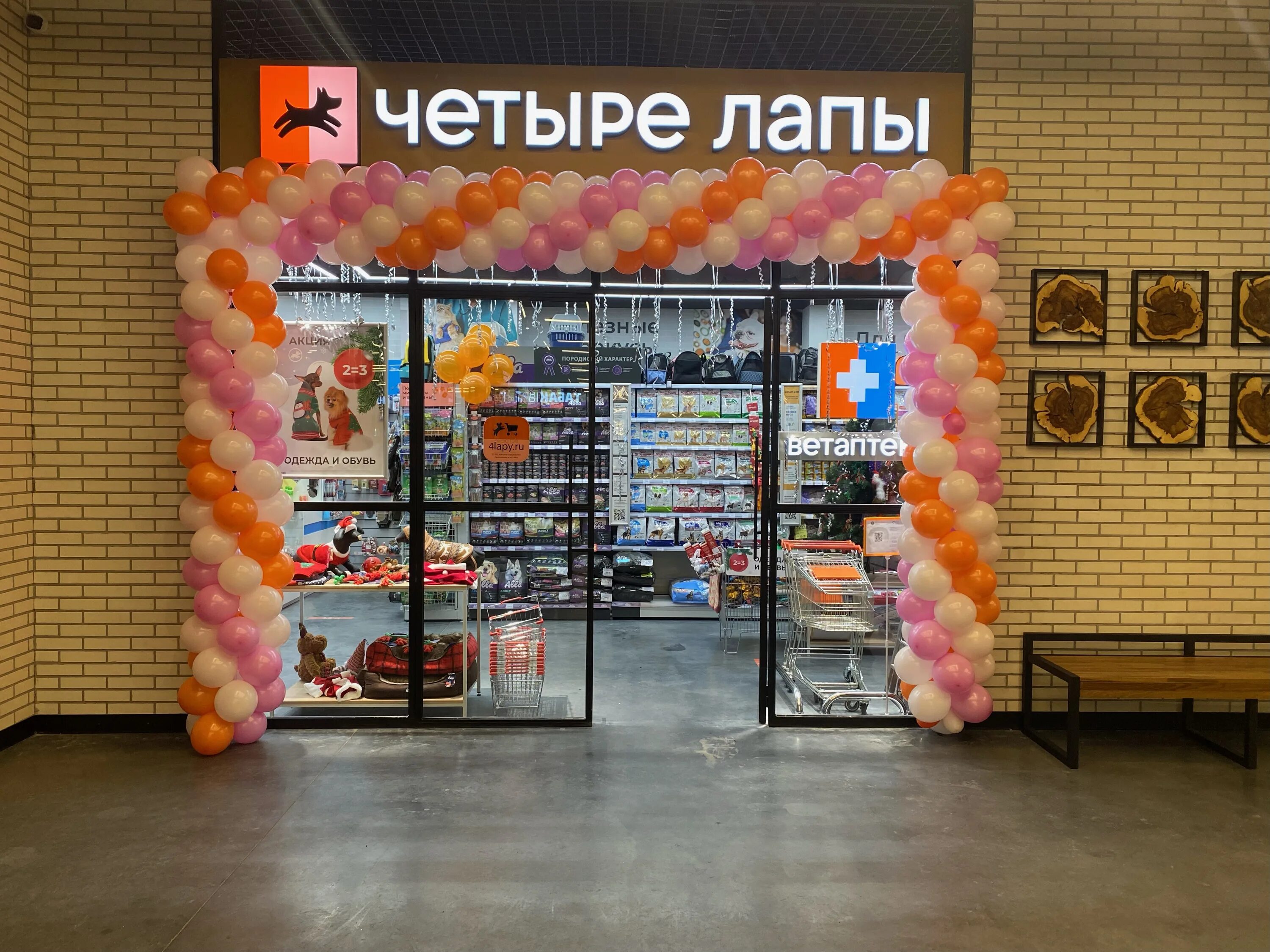 шаверно санкт-петербург. проспект художников 11 в санкт-петербурге. магазин щедрый. магазин 4 лапы санкт петербург. спар санкт-петербург.