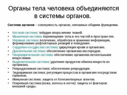 Совокупность всех систем органов образует