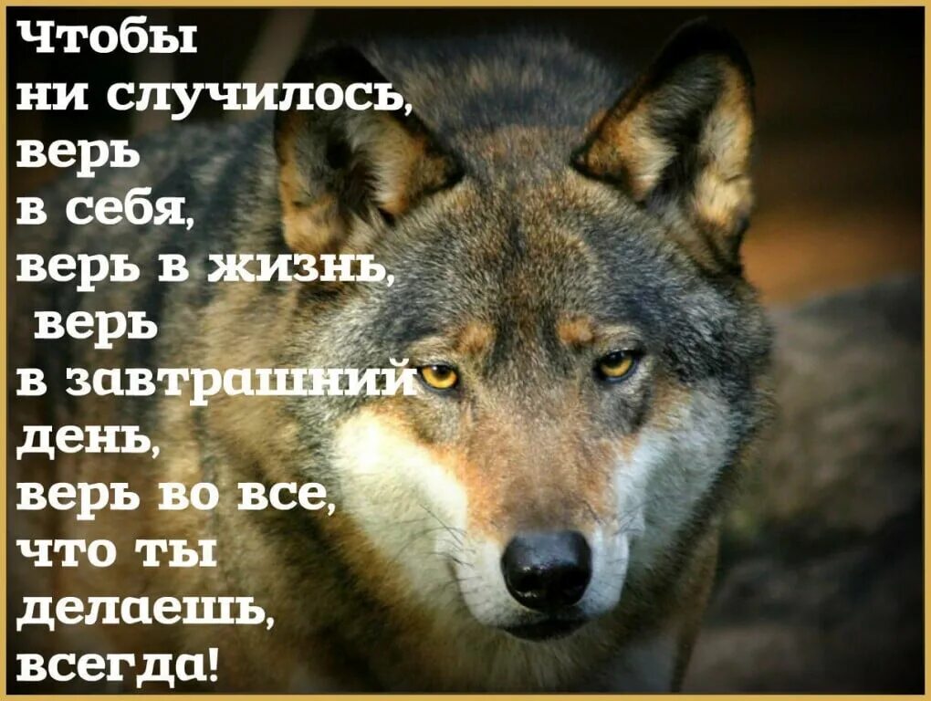 Просто верьте и все будет. Верь в себя. Всегда верь в себя. Верить в себя цитаты.