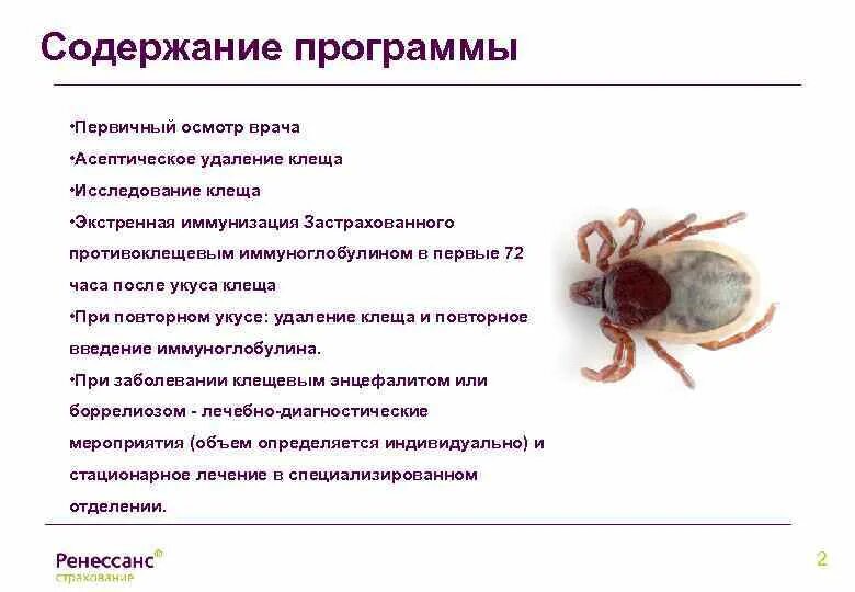 Значение клещей в природе. Клещ значение в природе. Образцы результатов исследования клеща. Иммуноглобулин после укуса клеща