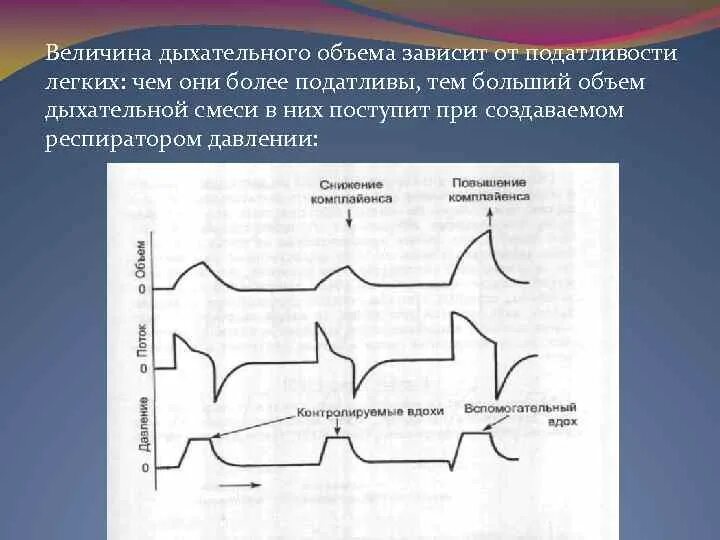 Величина дыхательного объема. Величина дыхательного объема легких. Дыхательный объем зависит от. Объем легких с величиной. От чего зависит дыхательный объем.