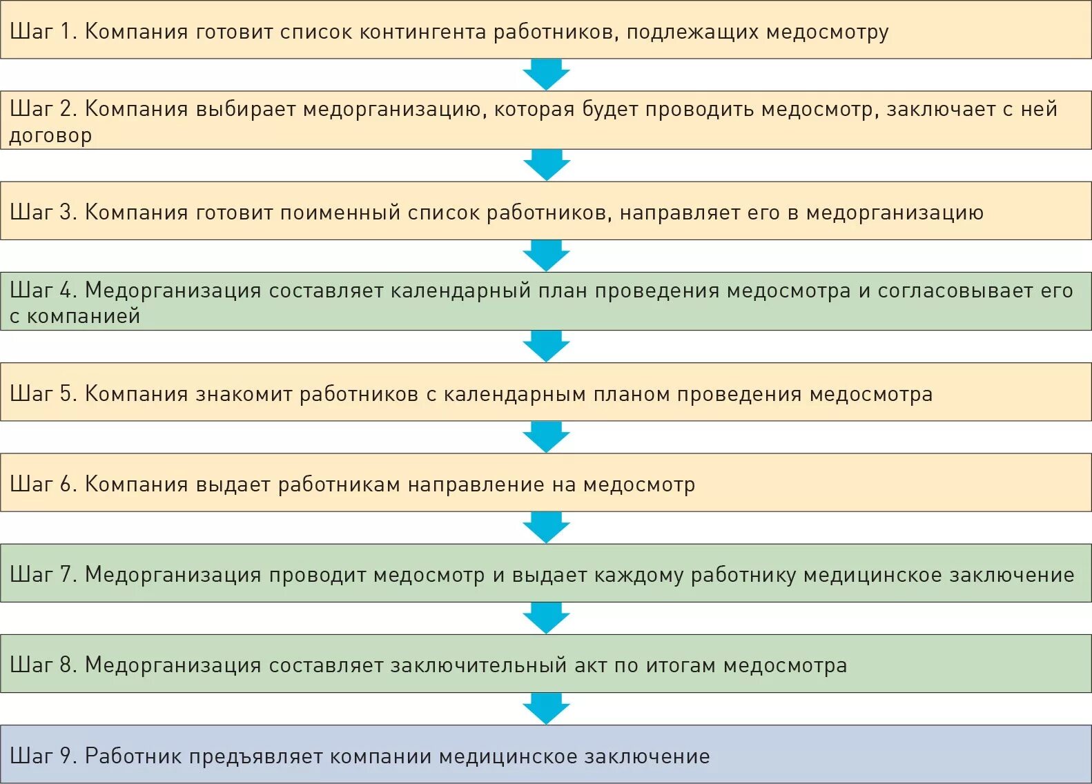 Что должны проходить лица принимаемые на работу. Порядок проведения медицинских осмотров схема. Алгоритм проведения предварительных медосмотров. Схема прохождения медосмотра. Алгоритм проведения периодического медицинского осмотра.