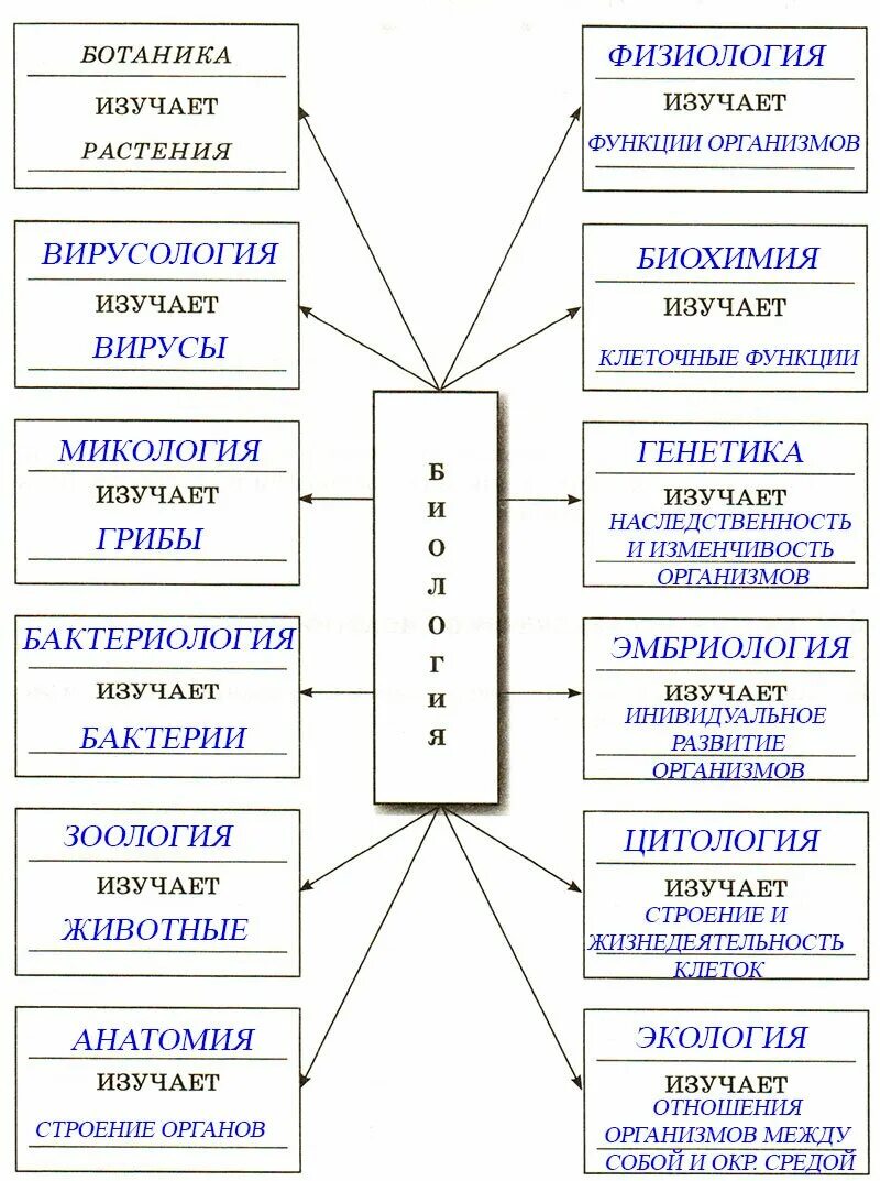 Какие есть области биологической науки. Биологические науки 5 класс биология таблица. Биологические науки 5 класс биология. Биология система наук о живой природе. Науки по биологии изучающие в 5 классе.