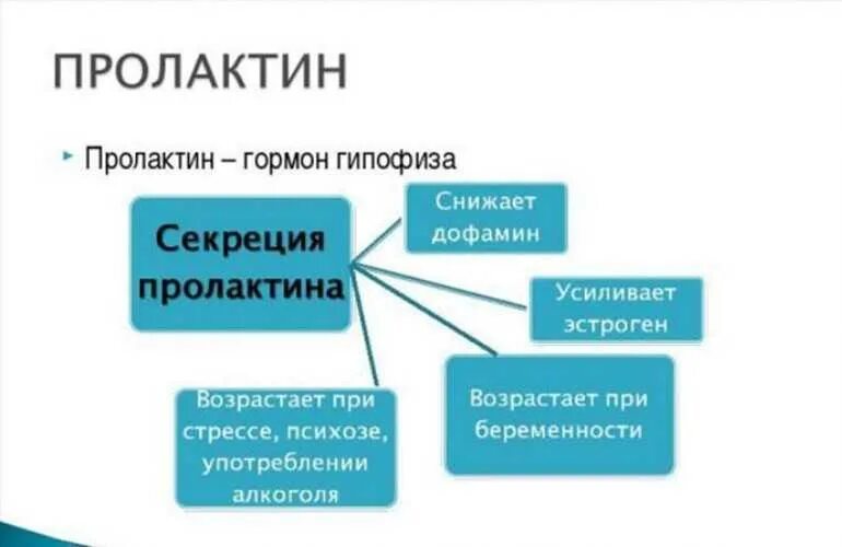 За что отвечает пролактин у женщин повышенный. Пролактин. Пролактин гормон. Пролактин гормон повышен у женщин. Пролактин гормон чего у женщин.