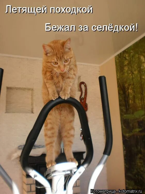 легкой походкой выходим из мая. летящей походкой ты вышла из мая. летящей походкой год. летящая походка фото. счастливая жизнь.