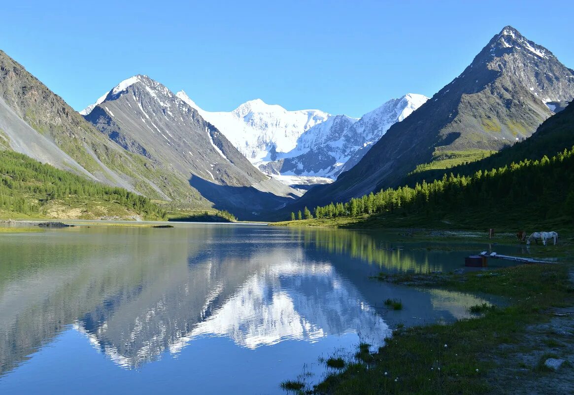 Алтай евразия. Белуха горный Алтай. Гора Белуха горный. Алтайские горы Белуха. Достопримечательности горного Алтая гора Белуха.