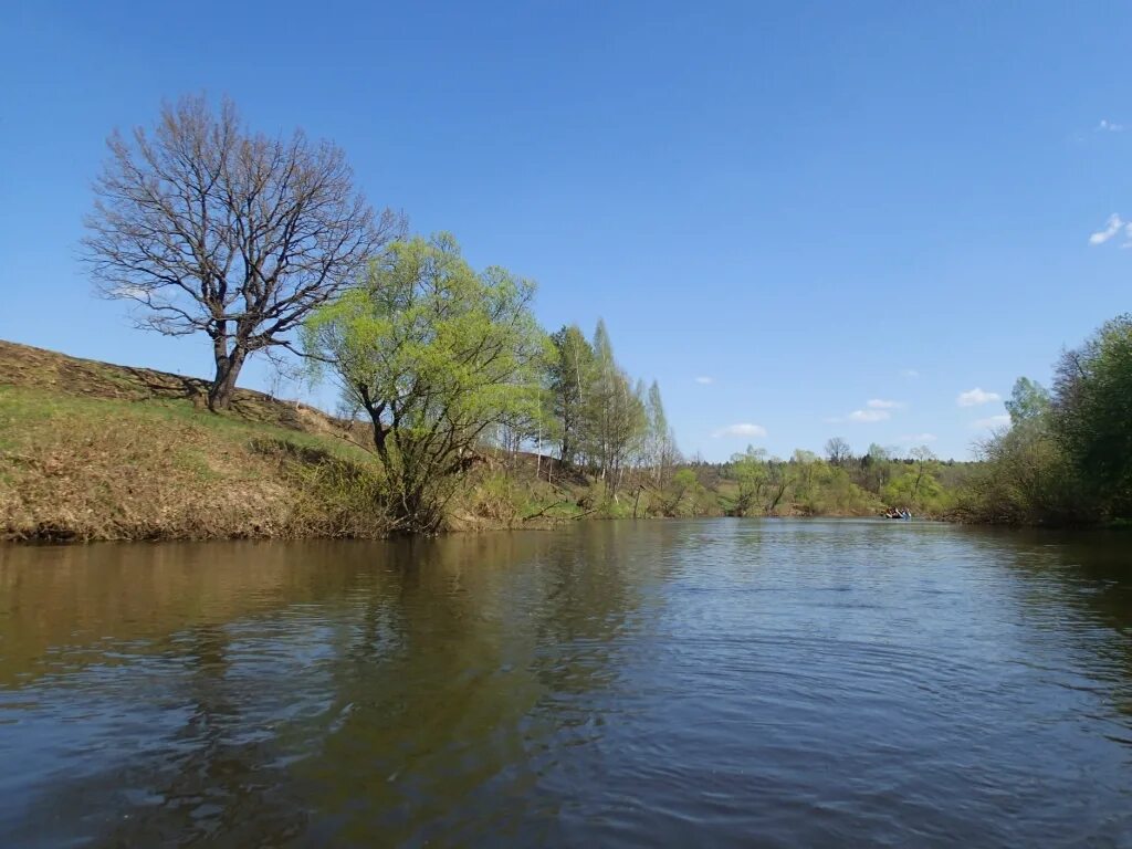 сплав по реке жиздра калужской области. совхоз коллективизатор калужской области жиздра. долина реки жиздра. река жиздра рыбалка. река жиздра думиничи.