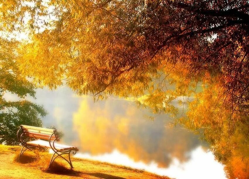 Осеннее утро картинки красивые. Осеннее утро. Красивая теплая осень. Золотая осень утро. Яркое осеннее утро.