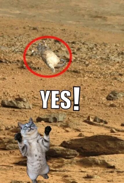 I would like to live on mars