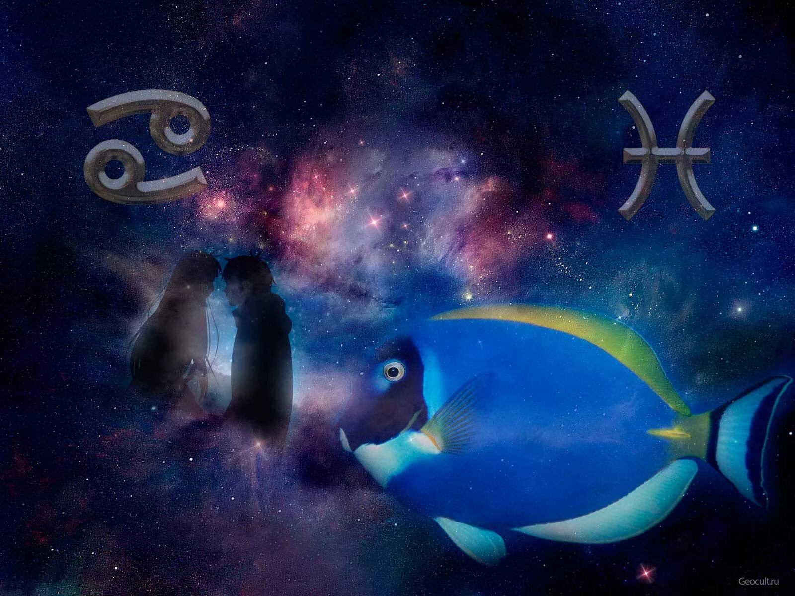 Рыбы и рыбы совместимость в любви. Мужчина рыбы. Космос астрология рыбы. Знак зодиака рыбы мужчина. Красивые рыбы знак космос.